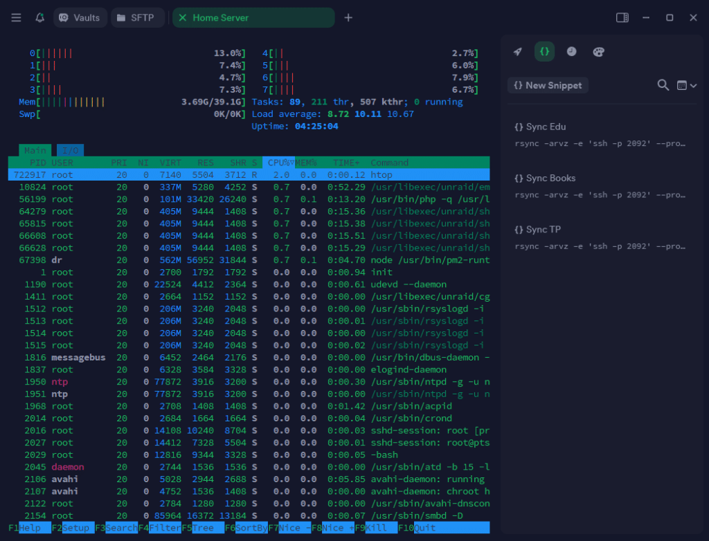 SSH Client Termius mit htop